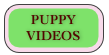 PUPPY
VIDEOS

