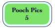 Pooch Pics 
5