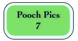 Pooch Pics
7 7livepage.apple.com