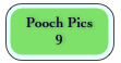 Pooch Pics
9 777livepage.apple.com